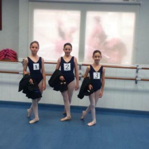 EXÁMENES ROYAL 2016